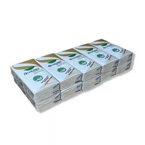 Papírzsebkendő Econatural 90