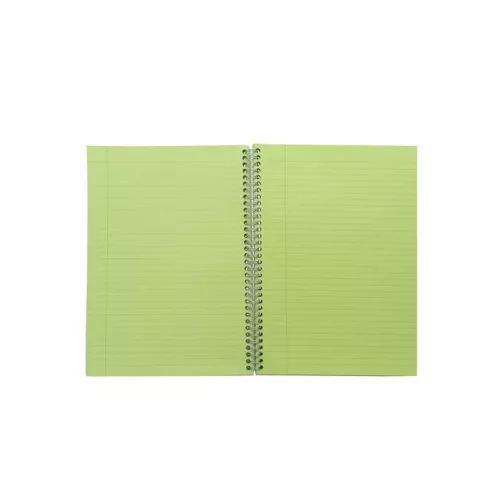 Spirálfüzet, A5, vonalas, 100 lap, PUKKA PAD "Irlen Jotta Green"