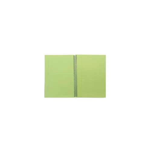 Spirálfüzet, A4, vonalas, 100 lap, PUKKA PAD "Irlen Jotta Green"