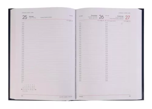Naptár, tervező, A5, napi, VICTORIA OFFICE "Chrono", szürke (2027 évi)