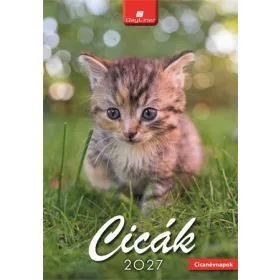 Naptár, fali, DAYLINER, "Cicák"