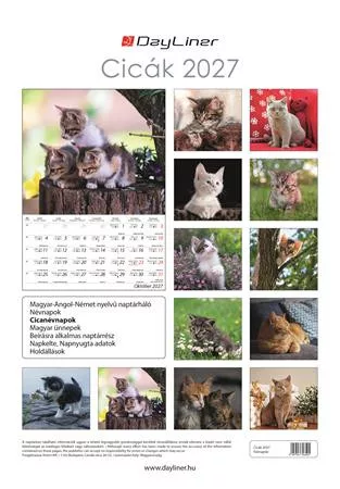 Naptár, fali, DAYLINER, "Cicák"