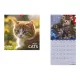 Naptár, fali, TOPTIMER, "Cats"