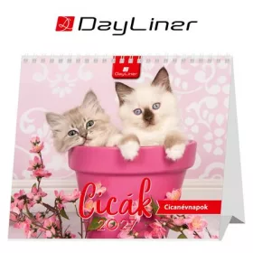 Naptár, asztali, álló, DAYLINER "Cicák"
