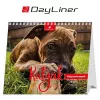 Naptár, asztali, álló, DAYLINER "Kutyák"