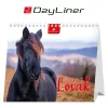 Naptár, asztali, álló, DAYLINER "Lovak"