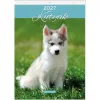 Falinaptár, A4, LIZZYCALENDAR "Kutyák"