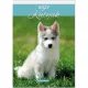 Falinaptár, A4, LIZZYCALENDAR "Kutyák"