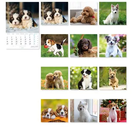 Falinaptár, A4, LIZZYCALENDAR "Kutyák"