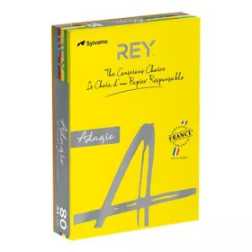   Másolópapír, színes, A4, 80 g, 5x100 lap, REY "Adagio", intenzív mix
